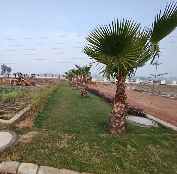 South City sector 37 Jhajjar