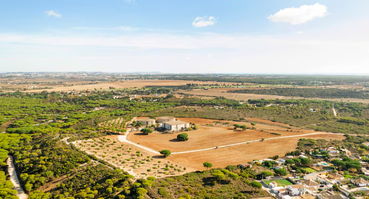 Dholera SIR Land Prices